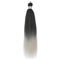 Frau Einfacher Stil Straße Japanische Seide Seitenpunkte Langes Glattes Haar Perücken sku image 54