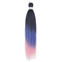 Femmes Style Simple Rue Japonais Soie Pointes Latérales Cheveux Longs Et Droits Perruques sku image 72