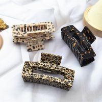 Women's Simple Style Leopard Acetic Acid Sheets Hair Claws main image 6