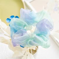 Casual Modern Style Sweet Gradient Color Organza Patchwork Hair Tie main image 3