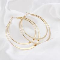 1 Pair Streetwear Double Ring Solid Color Plating Stainless Steel Hoop Earrings main image 5