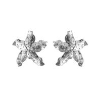 1 Pair Exaggerated Artistic Starfish Plating Alloy Titanium Steel Gold Plated Silver Plated Ear Studs main image 2