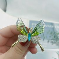 Simple Style Butterfly Alloy Plating Rhinestones Women's Brooches 1 Piece sku image 16