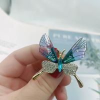 Simple Style Butterfly Alloy Plating Rhinestones Women's Brooches 1 Piece sku image 17