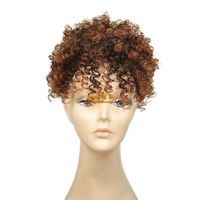 Women's African Style Casual High Temperature Wire Curls Wigs main image 2