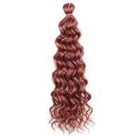Women's Hip-hop Party Low Temperature Flame Retardant Wire Long Curly Hair Wigs sku image 16