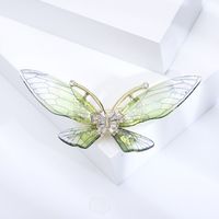 Simple Style Butterfly Alloy Plating Rhinestones Women's Brooches 1 Piece sku image 31