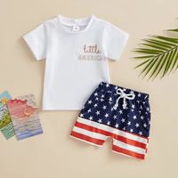 Independence Day Casual Simple Style Sports Letter Stripe Cotton Boys Clothing Sets main image 5