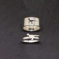 IG Style Novelty Dinosaur Lightning Airplane Iron Plating Unisex Open Ring main image 3