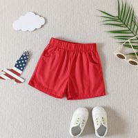 Independence Day Casual American Flag Printing Cotton Boys Clothing Sets main image 4
