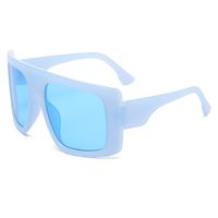 Dame Style Simple Couleur Unie Pc Lunettes De Crapaud Plein Cadre Femmes De Lunettes De Soleil sku image 12