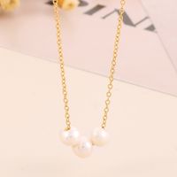 Stainless Steel Shell Titanium Steel 18K Gold Plated Simple Style Plating Round Necklace main image 9