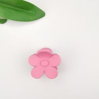 Cute Korean Style Flower Plastic Resin Stoving Varnish Hair Claws sku image 2