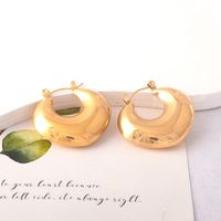 1 Paar Ig-stil Geometrisch Überzug Titan Stahl Ohrringe main image 5
