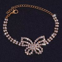 Wholesale Jewelry Elegant Butterfly Alloy Rhinestones Anklet main image 4