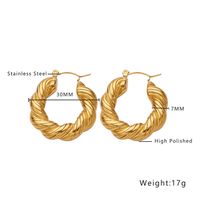 1 Paire Style Ig Forme En U Placage Acier Au Titane Des Boucles D'oreilles sku image 6