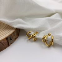 1 Paar Einfacher Stil Pendeln Einfarbig Überzug Titan Stahl Ohrringe sku image 1