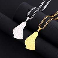 Casual Modern Style Map Letter Stainless Steel Plating 18k Gold Plated Pendant Necklace Long Necklace main image 4