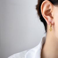 1 Paire Style Simple Couleur Unie Incruster Acier Au Titane Zircon Boucles D'oreilles main image 3