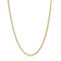 Einfacher Stil Einfarbig Rostfreier Stahl Überzug Vergoldet Halsband sku image 5