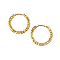 1 Pair Casual Round Plating Titanium Steel 18k Gold Plated Earrings main image 2