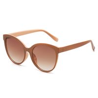 Basic Lady Color Block Solid Color Pc Oval Frame Full Frame Women's Sunglasses main image 5