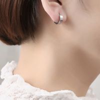 1 Pair Simple Style Commute Round Stainless Steel Hoop Earrings main image 5