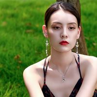 Elegant Lady Star Artificial Crystal Tassel Plating Women's Drop Earrings main image 5