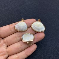 1 Piece Shell Conch sku image 1