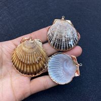 1 Piece Shell Conch sku image 4