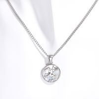 Retro Constellation Stainless Steel Plating Inlay Carving Shell 18k Gold Plated Necklace Pendant sku image 9