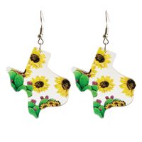 1 Paire Style Simple Fleur Impression Arylique Boucles D'oreilles main image 2