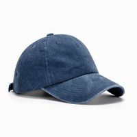 Unisex Japanese Style Solid Color Curved Eaves Baseball Cap sku image 16
