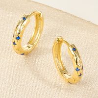 1 Pair Luxurious Simple Style Round Plating Inlay Sterling Silver Zircon 18k Gold Plated White Gold Plated Hoop Earrings main image 4