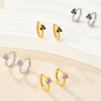 1 Pair Elegant Flower Inlay Sterling Silver Zircon 18k Gold Plated White Gold Plated Earrings main image 3