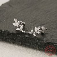 1 Pair Simple Style Classic Style Leaf Plating Sterling Silver White Gold Plated Ear Studs main image 1
