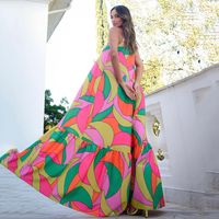 Frau Normales Kleid Einfacher Stil V-Ausschnitt Drucken Ärmellos Blume Maxi Langes Kleid Ferien main image 4