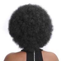 Femmes Exagéré Style Africain Fête Fil Haute Température Cheveux Courts Et Droits Perruques main image 6