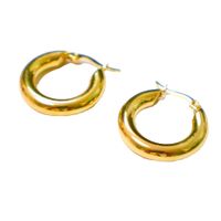 1 Pair Simple Style Solid Color Plating Stainless Steel Hoop Earrings main image 4