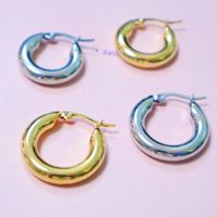 1 Pair Simple Style Solid Color Plating Stainless Steel Hoop Earrings main image 1