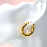 1 Pair Simple Style Solid Color Plating Stainless Steel Hoop Earrings sku image 2