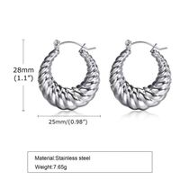 1 Pair Original Design Solid Color Spiral Stripe Plating Titanium Steel Hoop Earrings sku image 3