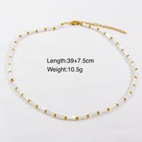 Casual Simple Style Multicolor Natural Stone Freshwater Pearl Shell Beaded Handmade Plating Necklace sku image 14
