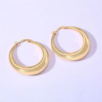 1 Pair Original Design Solid Color Spiral Stripe Plating Titanium Steel Hoop Earrings main image 6