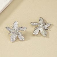 Style Moderne Fleur Alliage Femmes Boucles D'oreilles main image 4