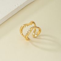 Wholesale Jewelry Retro French Style Geometric Solid Color Alloy Plating Open Ring sku image 1