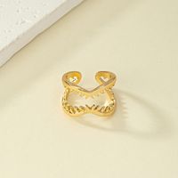 Wholesale Jewelry Retro French Style Geometric Solid Color Alloy Plating Open Ring main image 4