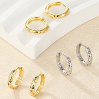 1 Pair Luxurious Simple Style Round Plating Inlay Sterling Silver Zircon 18k Gold Plated White Gold Plated Hoop Earrings main image 2