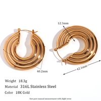 1 Pair Basic Simple Style Classic Style Solid Color Plating Stainless Steel 18k Gold Plated Earrings sku image 2