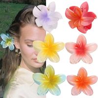 Sweet Flower Transparent Plastic Resin Hair Claws main image 1